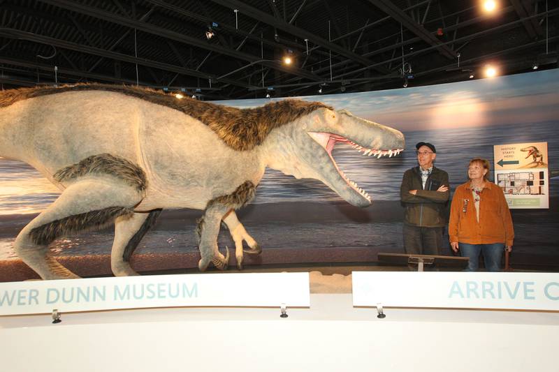 Terry and Judi Camacho, of Schaumburg look at a Dryptosaurus dinosaur on permanent display as they make their way from the Dinosaurs: Fossils Exposed exhibit at the Dunn Museum on October 28th in Libertyville. The exhibit is sponsored by the Preservation Foundation of the Lake County Forest Preserves and runs through January 15, 2024.
Photo by Candace H. Johnson for Shaw Local News Network