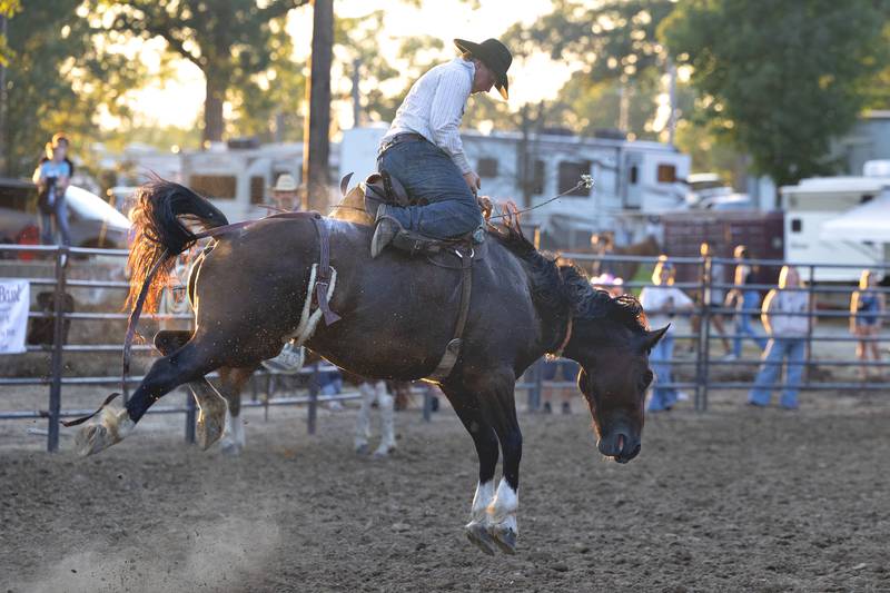 Braden Markell holds on during the ranch bronc class Wednesday, August 13, 2025, at the Whiteside County Fair during the Next Level Pro Bronc rodeo.