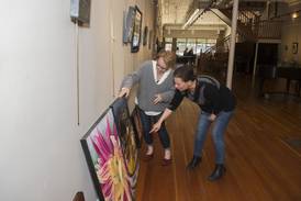 Phidian Art Show coming to The Next Picture Show in Dixon