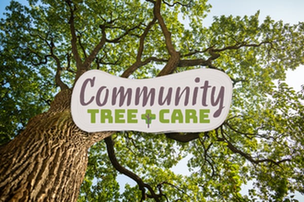 University of Illinois Extension offers tree care webinar series