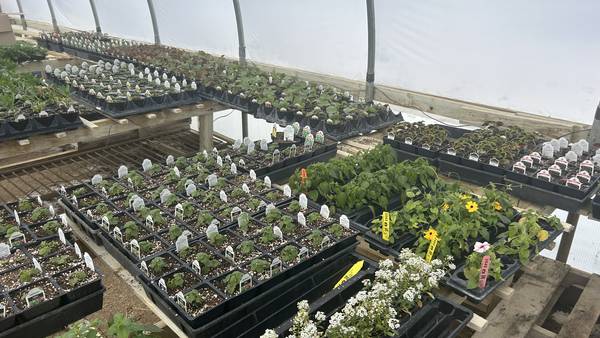 Red Barn Nursery celebrates 35 years