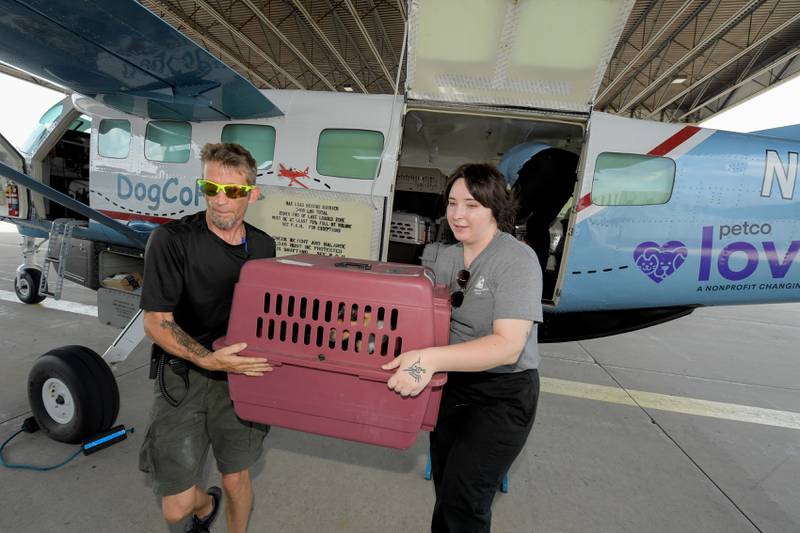 Aurora Municipal Airport employee Al Jensen and Molly Craig, Director of Animal Pathways at Anderson Humane in South Elgin, unload dogs and cats rescued from the recent Texas Floods.  The animals were flow north on a Dog Is My CoPilot flight to the Aurora Municipal Airport on Thursday, Jul 24, 2025 in Sugar Grove.