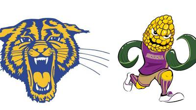 Somonauk/Leland/Newark advances past Serena: The Times Tuesday Roundup