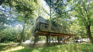 Treehouses at Starved Rock and The Wildflower perfect for adventure escape