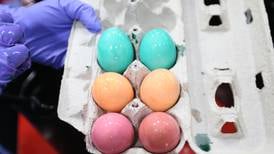 Utica Easter egg hunt is a go, but without real eggs, affecting decades-long tradition