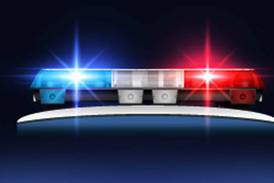 Ex-McHenry man admits to abusing a cat, gets probation, ordered to have no contact with any pets