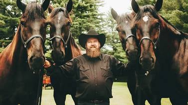 Dixon’s Mane Street Carriage makes wedding ride moments special