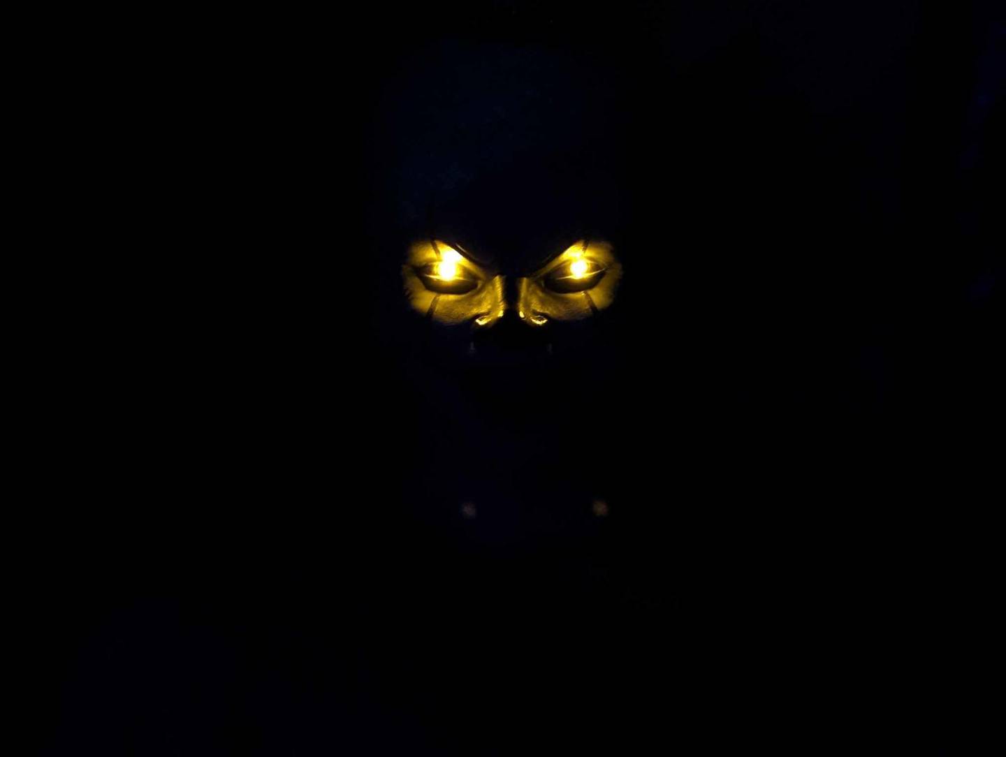 St. Joseph Academy in Joliet hosts the annual haunted attraction as a fundraiser for its school – and the event has families in mind from start to finish.