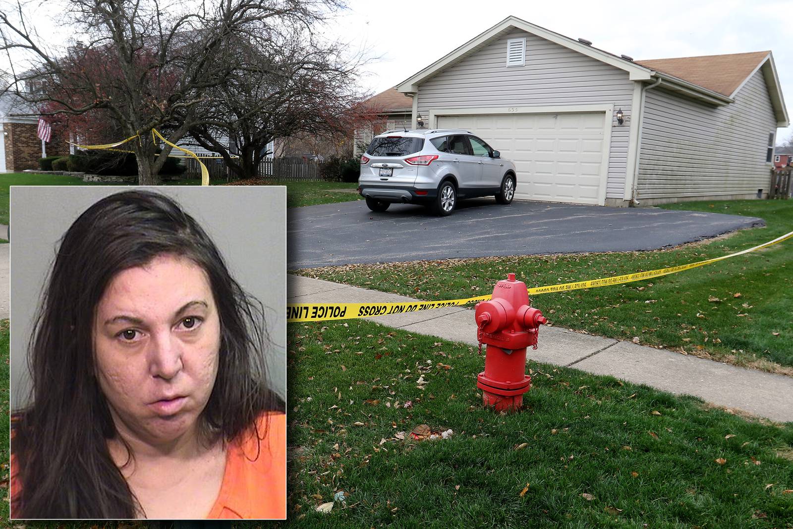 Woman charged in Algonquin double homicide found unfit to stand trial