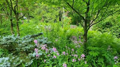 A layered landscape provides space for wildlife all year