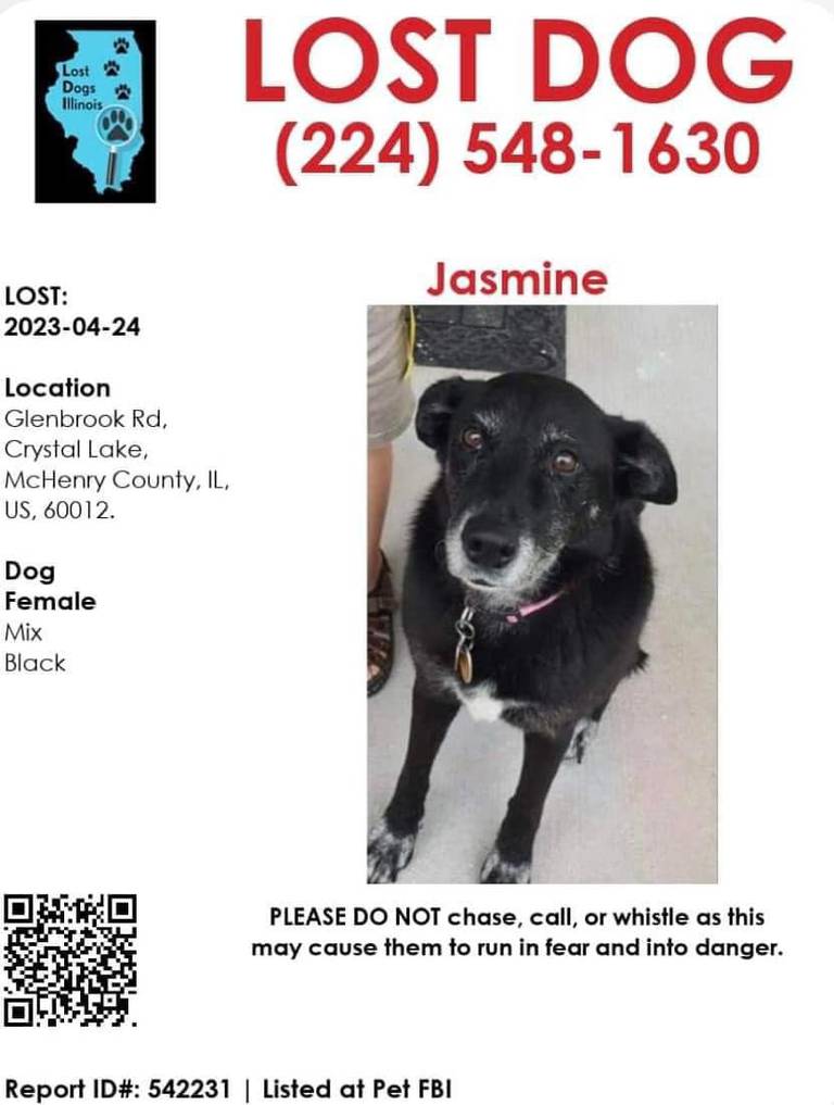 Rob and Chloe Wysocki's 14-year-old dog, Jasmine, has been missing since Rob rescued it from a fire that destroyed their home on Monday, April 24.