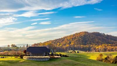 Uncorked: Early Mountain’s Quaker Run Vineyard Defies the Odds