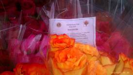 Morris Lions Club offers online ordering for Mother’s Day roses