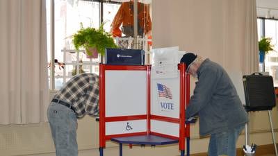 2026 Election Questionnaire: Debbie Militello, Will County Board, District 1