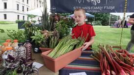 Sycamore Farmers’ Market returns to downtown