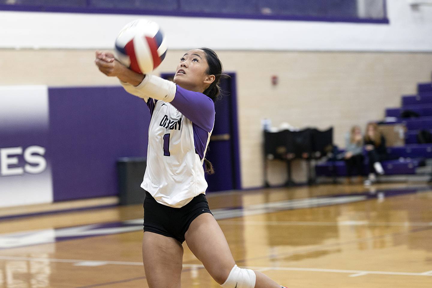 Dixon’s Yui Santos saves a ball against Rochelle Monday, Oct. 28, 2024, during regional play in Dixon.