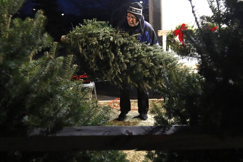Bill Kolton helps with the Knights of Columbus Christmas tree fundraiser, carrying a tree for customer Mike Strezo, both of Crystal Lake, on Wednesday, Dec. 8, 2021, at St. Elizabeth Ann Seton Catholic Church in Crystal Lake.
