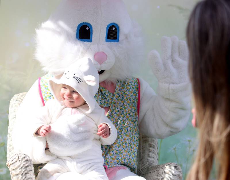 Photos Algonquin Egg Hunt Shaw Local