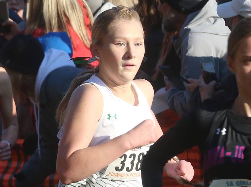 Seneca's Natalie Misener competes in the Class 1A Cross Country Finals on Saturday, Nov. 4, 2023 at Detweiller Park in Peoria.