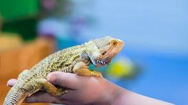 Learn about reptiles April 26 at Starved Rock