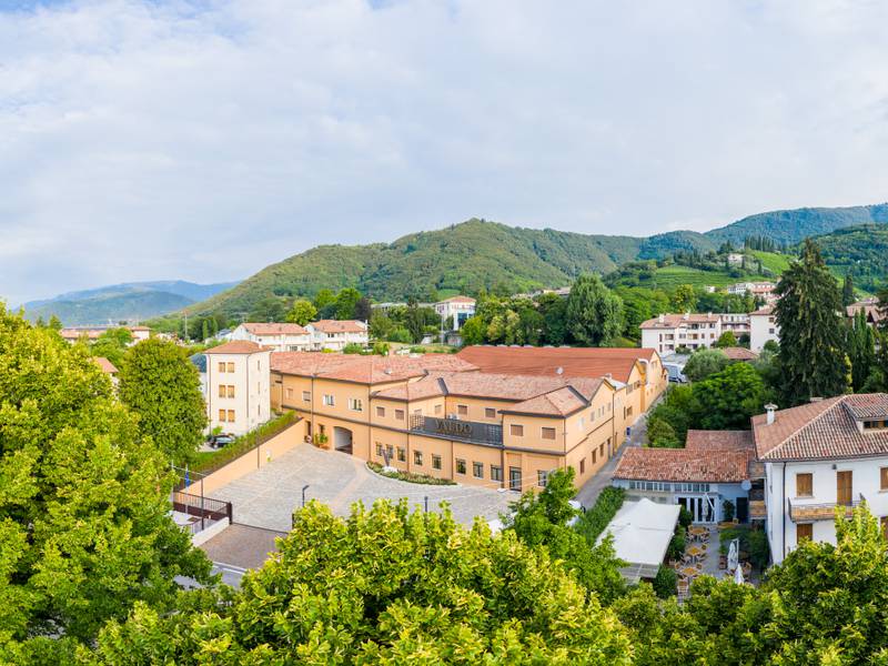 Valdo wine Cantina Italy Uncorked