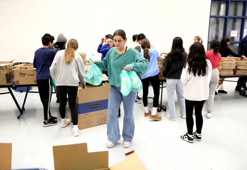 Downers Grove High School senior Lily Kelliher, who serves as the school’s student council president and president of the Key Club, loads bags of food as part of the Blessings in a Backpack program on Monday, Nov. 13, 2023. The program will provide meals for 200 food insecure students in Downers Grove Grade School District 58 who won't have access to school meals during the upcoming Thanksgiving break.