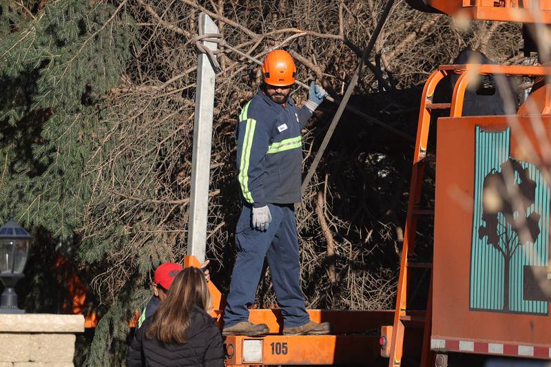 Photos Christmas Tree Makes it's Way to Downtown Joliet. Shaw Local