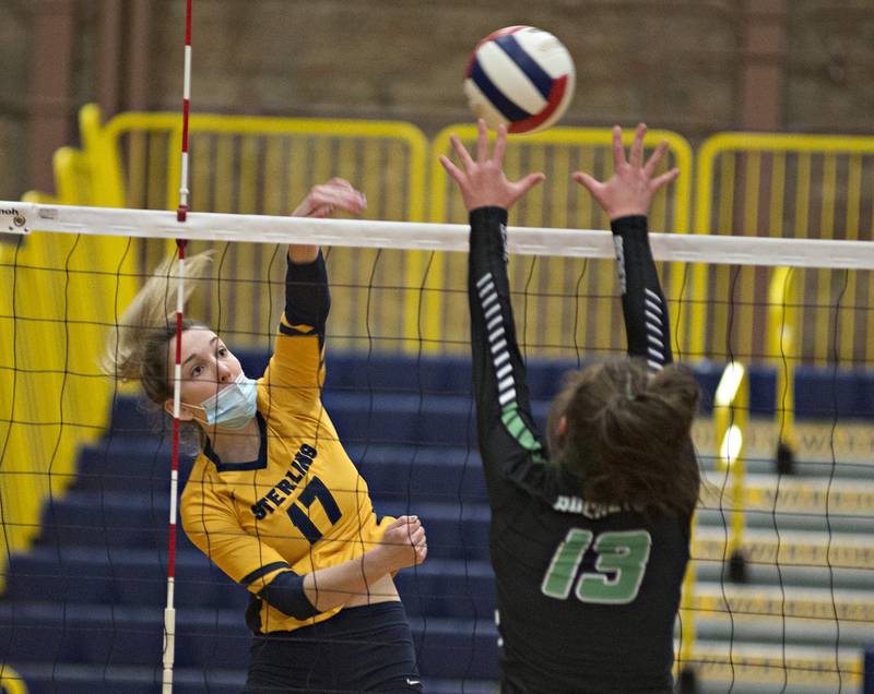 Volleyball Sauk Valley Media reveals its allarea team for the 2021