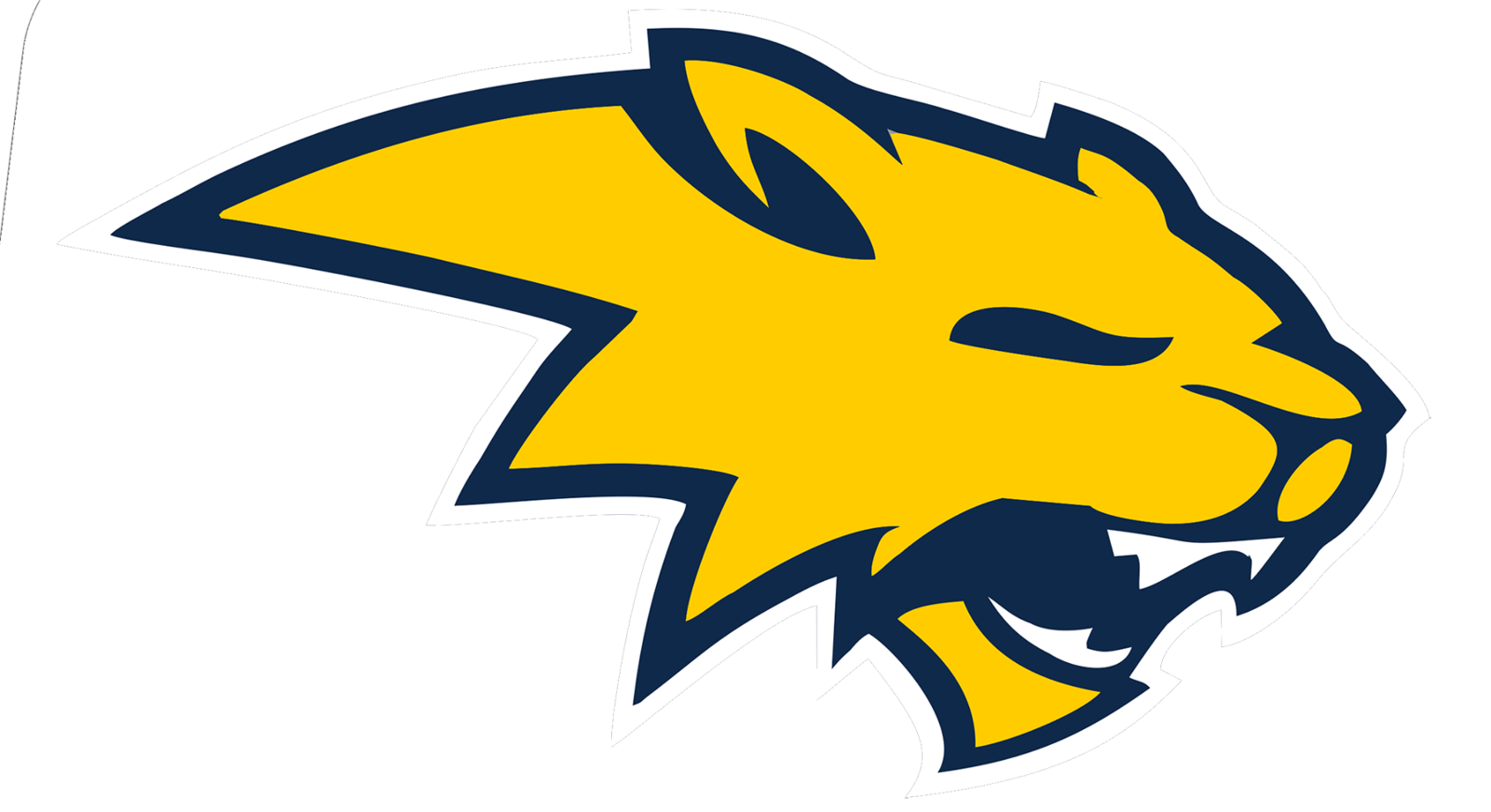 Despite cold outside shooting, Neuqua Valley pulls away from Wheaton Warrenville South