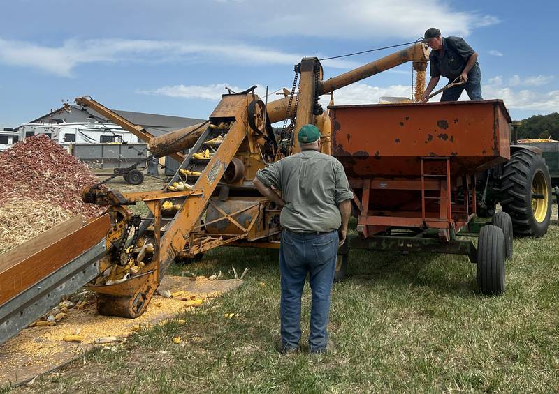 Ears of corn travel up an auger to an machine-powered sheller at the Bos Bros. Historical Farm Old Fashioned Fall Harvest on Saturday, Sept. 21, 2024. Working displays of antique ag equipment and hands-on demonstrations of past agricultural chores were highlighted at the event. Corn was picked from a field with vintage machinery and then shelled and ground into cornmeal to make cornbread.