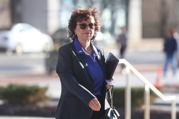 Outspoken Will County Board members face primary challenges