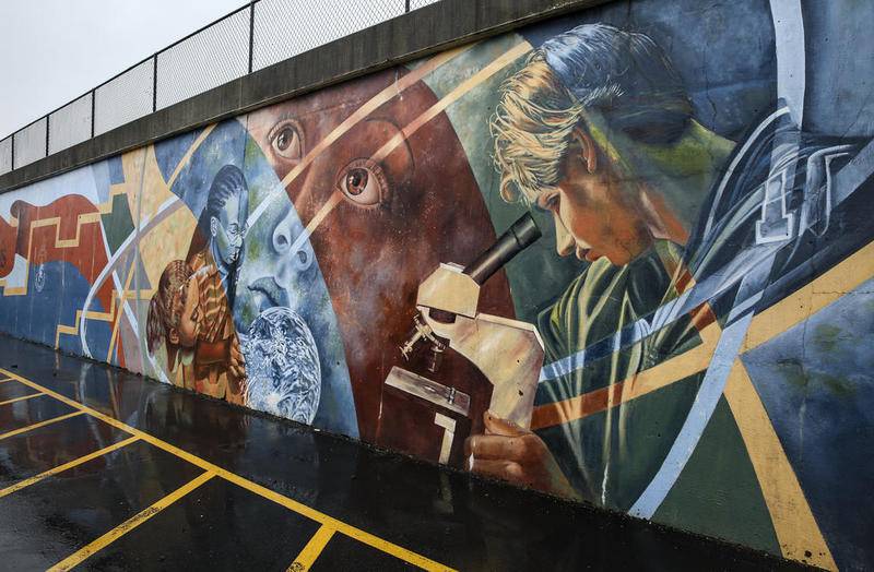 Several murals can be seen painted near Joliet Township Central High School on Tuesday, April 30, 2019, in Joliet, Ill.