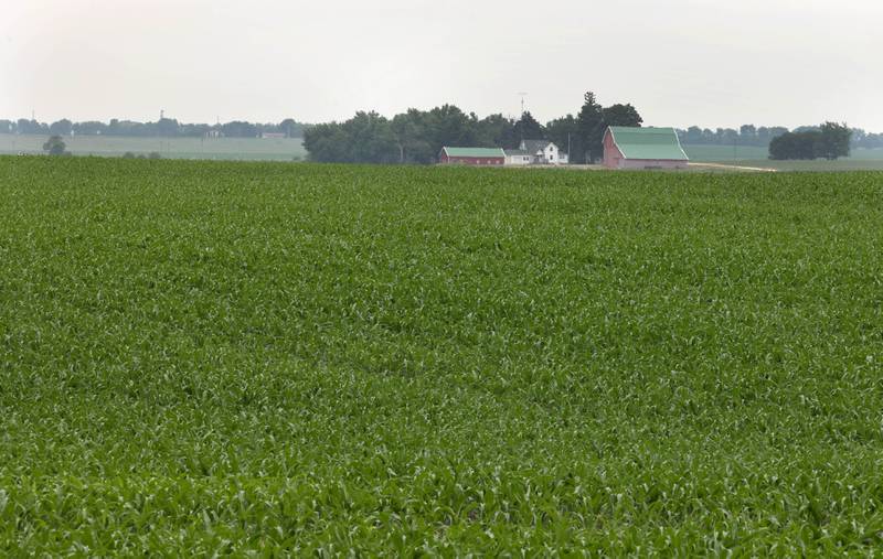 The view looking north Friday, June 16, 2023, from Mike Schweitzer’s farm in Malta.