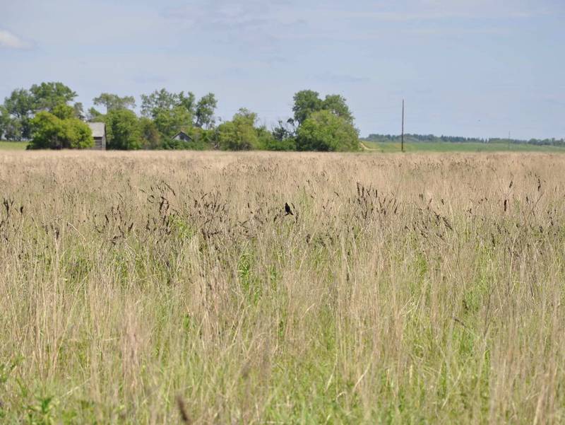 The U.S. Department of Agriculture’s Conservation Reserve Program was established by Congress in 1985.