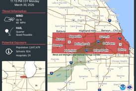 Severe thunderstorm warning for several northern Illinois counties