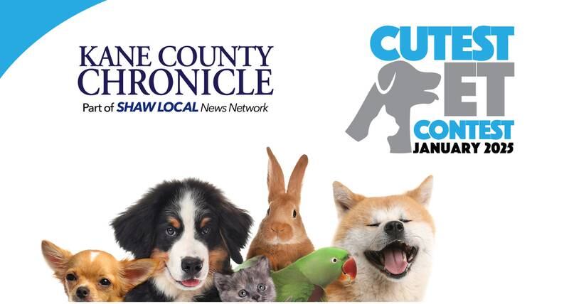 KCC Jan Pet promo