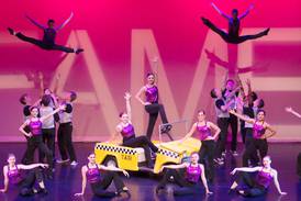 Beth Fowler’s ‘Fame & More’ opens June 6 in DeKalb