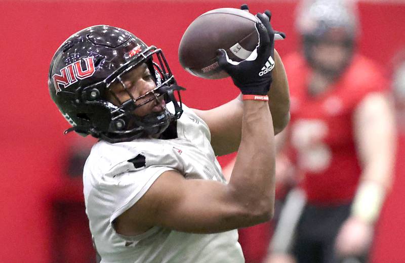 Northern Illinois running back Christian Nash makes a catch during their first spring practice Wednesday, March 22, 2023, in the Chessick Practice Center at Northern Illinois University in DeKalb.