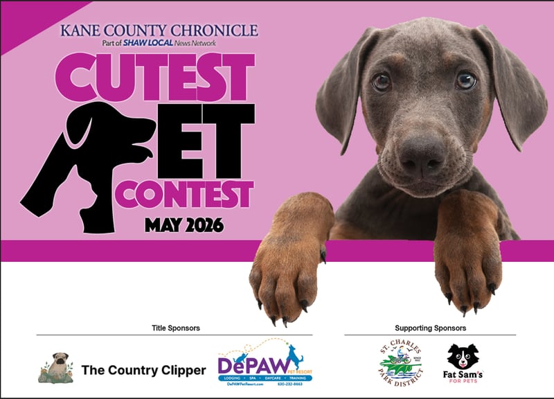 KCC Cutest Pet May