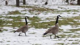 Winter weather advisory issued, up to 4 inches of snow possible in parts of northern Illinois