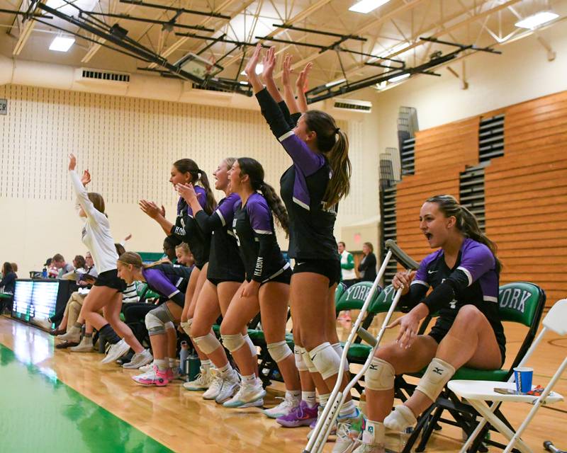Downers Grove North’s bench celebrates after winning the set in two games on Tuesday Oct. 22, 2024, while traveling to take on York High School in Elmhurst.