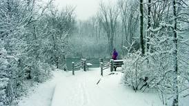 Embrace winter with the Forest Preserve District of Will County’s December Dash Virtual 5K