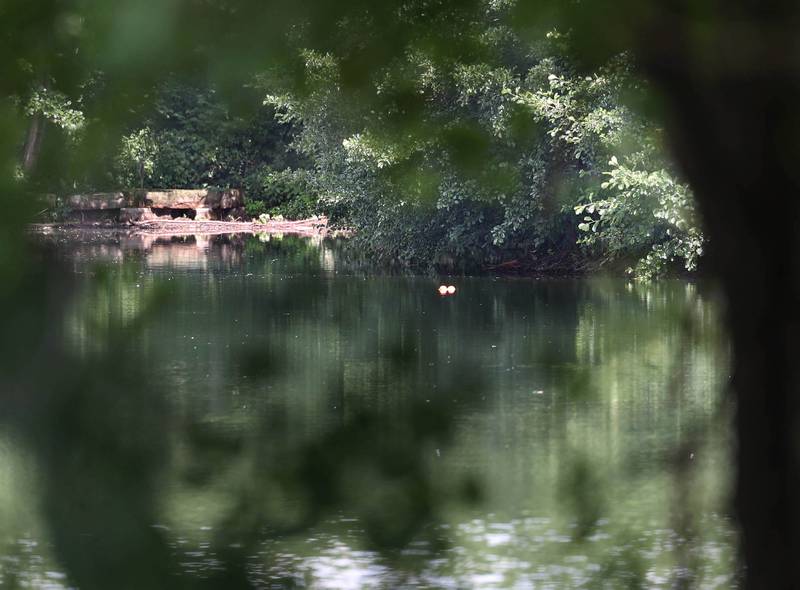 A marker buoy floats Monday, July 28, 2025, on the pond that sits behind a tree line along Ridge Drive between Sunflower Drive and Pickwick Lane where the victim of an apparent drowning was recovered Sunday night.