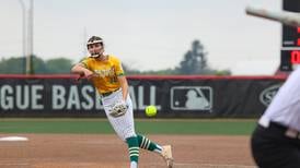 IHSA softball: 5 storylines to follow across The Herald-News area in 2026