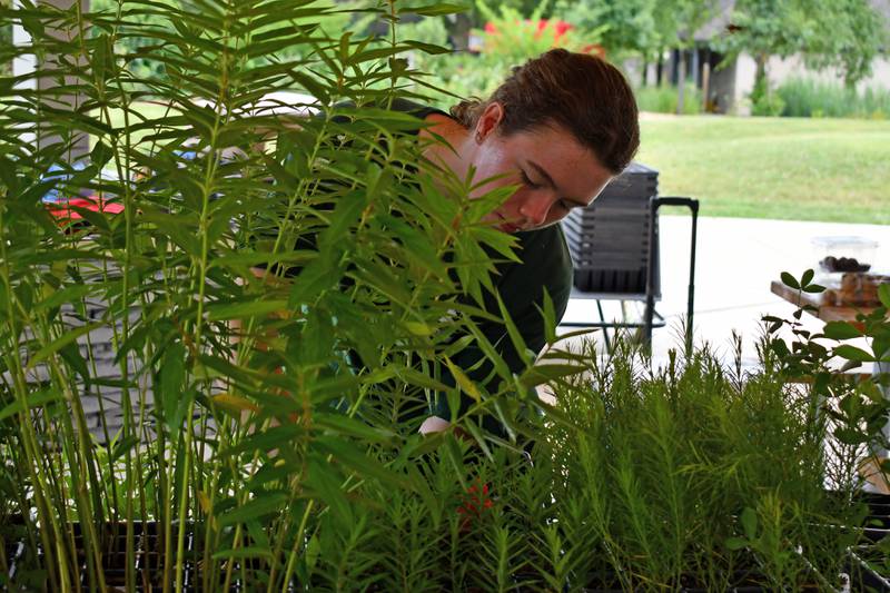 The Nature Foundation of Will County holds a large annual plant sale, the proceeds of which go to fund projects for the  Forest Preserve District of Will County.