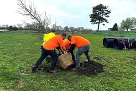 Oregon’s dog park gets some ‘shade’ for Arbor Day