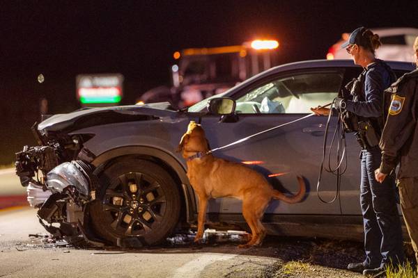 Authorities search for missing driver following crash near Mendota