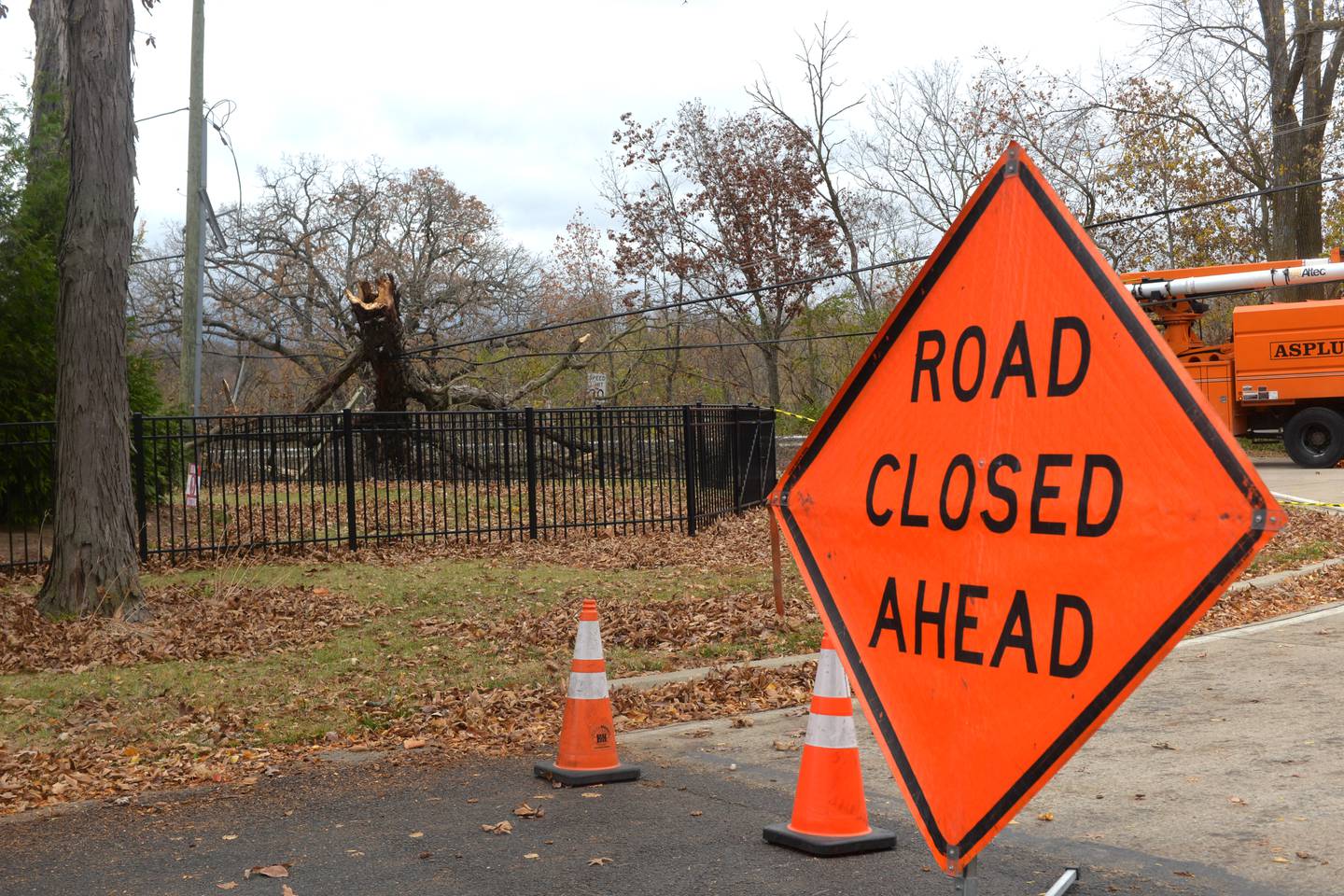 A large tree fell across Illinois Route 2, just north of Oregon, on Thursday, Oct. 31, 2024 forcing the closure of the state highway from Fair Street in Oregon north to Margaret Fuller Drive. Crews were waiting at 1:30 p.m. for a crane to arrive to remove the tree. Electricity was knocked out for some residents north of Oregon.