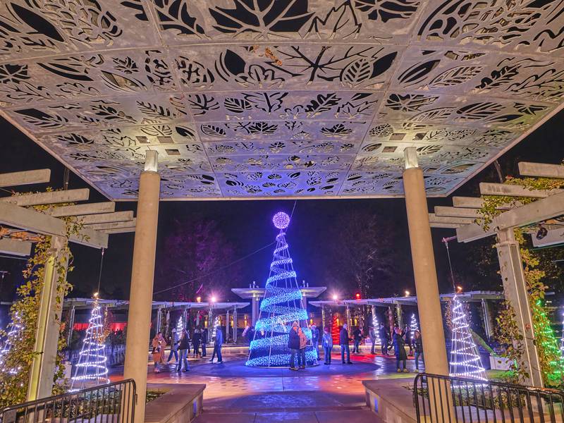 Morton Arboretum’s ‘Illumination’ to return for 2025 holiday season