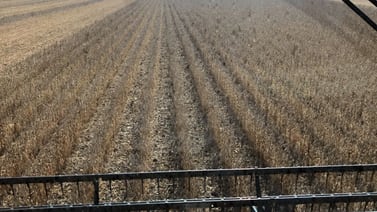 Illinois soybean farmers welcome federal aid, but fear long-term trade damage